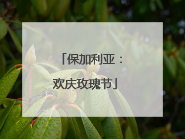 保加利亚：欢庆玫瑰节
