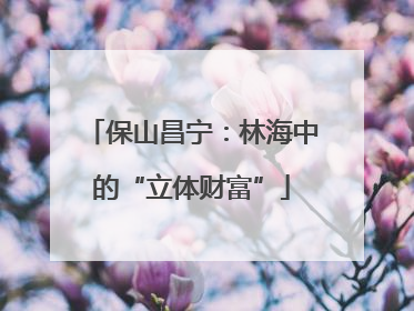 保山昌宁：林海中的“立体财富”