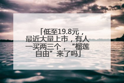 低至19.8元，最近大量上市，有人一买两三个，“榴莲自由”来了吗