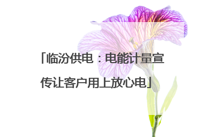 临汾供电：电能计量宣传让客户用上放心电