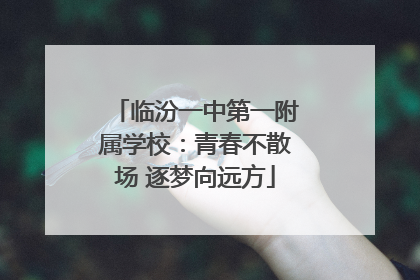 临汾一中第一附属学校：青春不散场 逐梦向远方