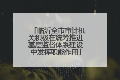 临沂全市审计机关积极在统筹推进基层监督体系建设中发挥职能作用