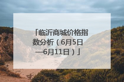 临沂商城价格指数分析（6月5日—6月11日）