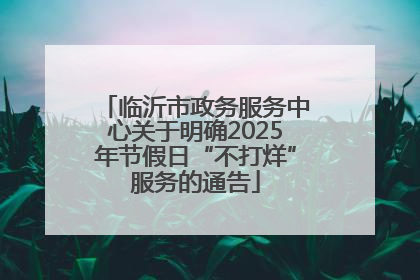 临沂市政务服务中心关于明确2025年节假日“不打烊”服务的通告