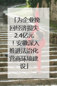 为企业挽回经济损失2.4亿元！安徽深入推进法治化营商环境建设