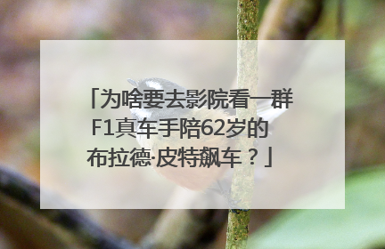 为啥要去影院看一群F1真车手陪62岁的布拉德·皮特飙车？
