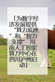 为数字经济发展提供“算力底座”和“智力支撑” 川南人工智能算力中心在四川泸州启动