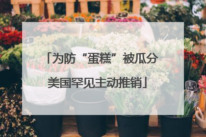 为防“蛋糕”被瓜分 美国罕见主动推销