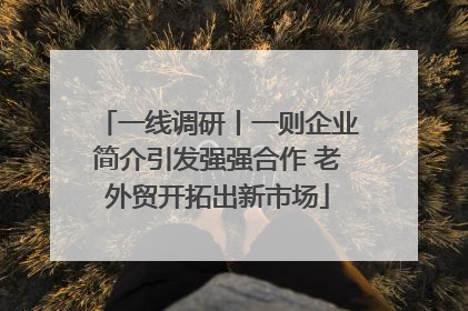 一线调研丨一则企业简介引发强强合作 老外贸开拓出新市场