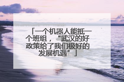 一个机器人能抵一个班组，“武汉的好政策给了我们极好的发展机遇”