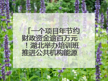 一个项目年节约财政资金逾百万元！湖北举办培训班推进公共机构能源费用托管工作