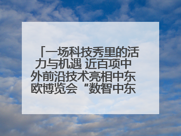 一场科技秀里的活力与机遇 近百项中外前沿技术亮相中东欧博览会“数智中东欧”板块