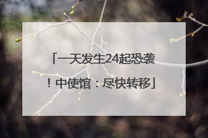 一天发生24起恐袭！中使馆：尽快转移