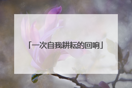 一次自我耕耘的回响