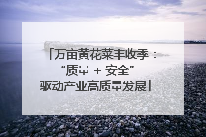 万亩黄花菜丰收季：“质量 + 安全” 驱动产业高质量发展