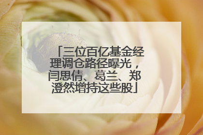 三位百亿基金经理调仓路径曝光，闫思倩、葛兰、郑澄然增持这些股