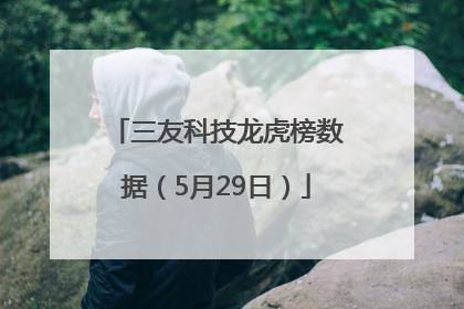 三友科技龙虎榜数据（5月29日）