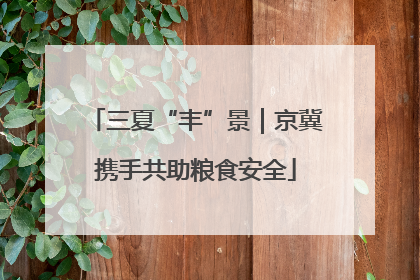 三夏“丰”景｜京冀携手共助粮食安全