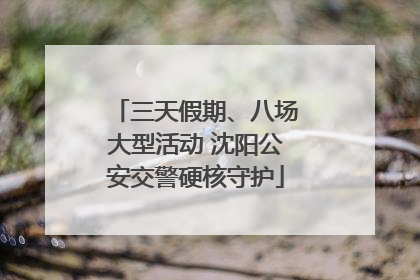 三天假期、八场大型活动 沈阳公安交警硬核守护