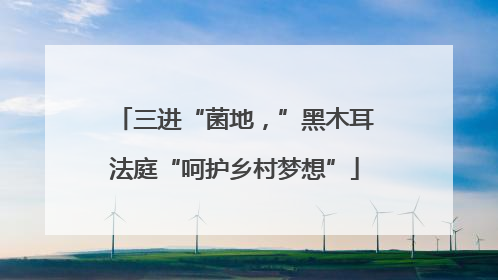 三进“菌地，”黑木耳法庭“呵护乡村梦想”