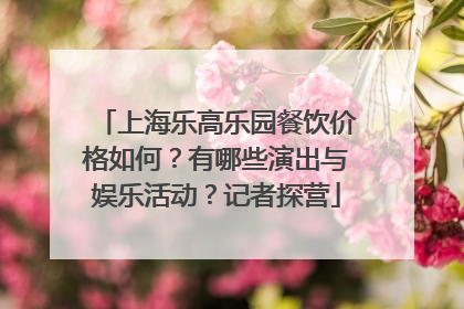 上海乐高乐园餐饮价格如何？有哪些演出与娱乐活动？记者探营