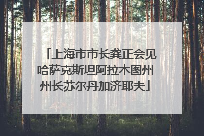 上海市市长龚正会见哈萨克斯坦阿拉木图州州长苏尔丹加济耶夫