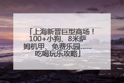 上海新晋巨型商场！100+小狗、8米萨姆机甲、免费乐园……吃喝玩乐攻略