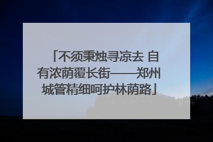 不须秉烛寻凉去 自有浓荫覆长街——郑州城管精细呵护林荫路