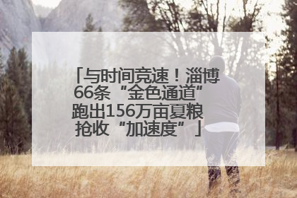 与时间竞速！淄博66条“金色通道”跑出156万亩夏粮抢收“加速度”