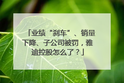 业绩“刹车”、销量下降、子公司被罚，雅迪控股怎么了？