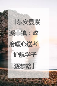 东安县紫溪市镇：政府暖心送考 护航学子逐梦路