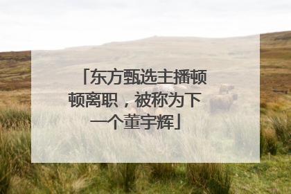 东方甄选主播顿顿离职，被称为下一个董宇辉