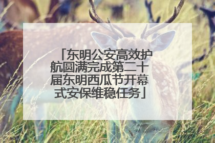 东明公安高效护航圆满完成第二十届东明西瓜节开幕式安保维稳任务