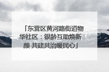 东营区黄河路街道物华社区：银龄互助焕新颜 共建共治暖民心