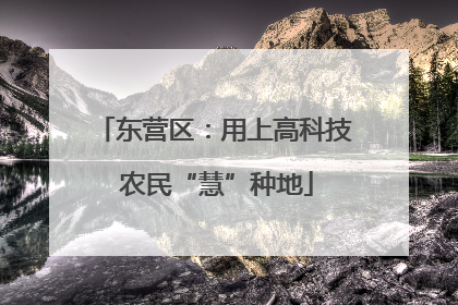 东营区：用上高科技 农民“慧”种地