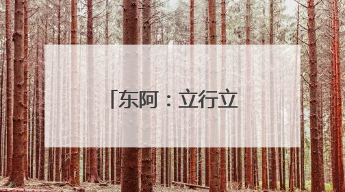 东阿：立行立改解难题 宅基证办理暖民心