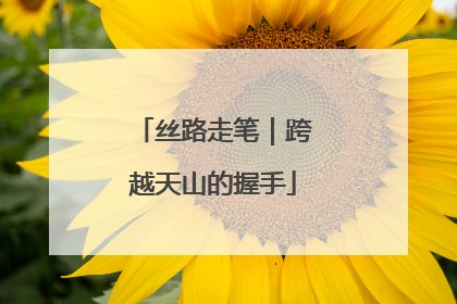 丝路走笔｜跨越天山的握手