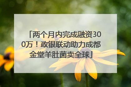 两个月内完成融资300万！政银联动助力成都金堂羊肚菌卖全球