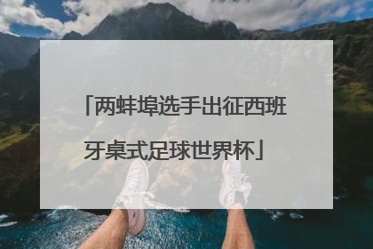 两蚌埠选手出征西班牙桌式足球世界杯