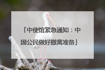 中使馆紧急通知：中国公民做好撤离准备