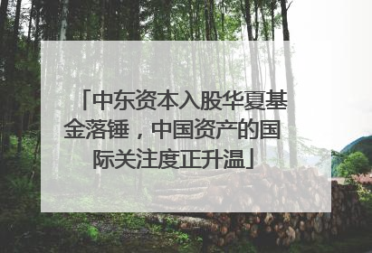 中东资本入股华夏基金落锤，中国资产的国际关注度正升温