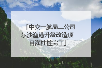 中交一航局二公司东沙渔港升级改造项目灌柱桩完工