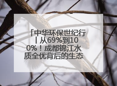 中华环保世纪行丨从69%到100%！成都锦江水质全优背后的生态治理密码