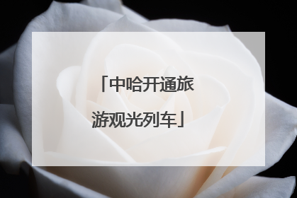 中哈开通旅游观光列车