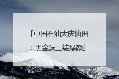中国石油大庆油田：黑金沃土绽绿颜