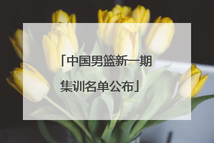 中国男篮新一期集训名单公布