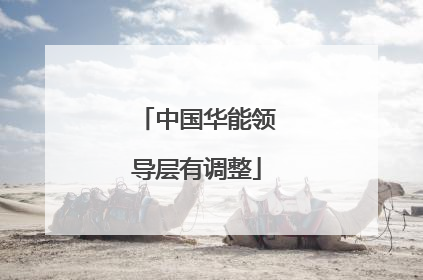 中国华能领导层有调整