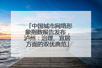 中国城市网络形象指数报告发布，泸州：治理、宜居方面的双优典范
