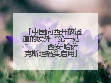 中国向西开放通道的境外“第一站”——西安·哈萨克斯坦码头启用