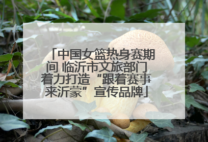 中国女篮热身赛期间 临沂市文旅部门着力打造“跟着赛事来沂蒙”宣传品牌